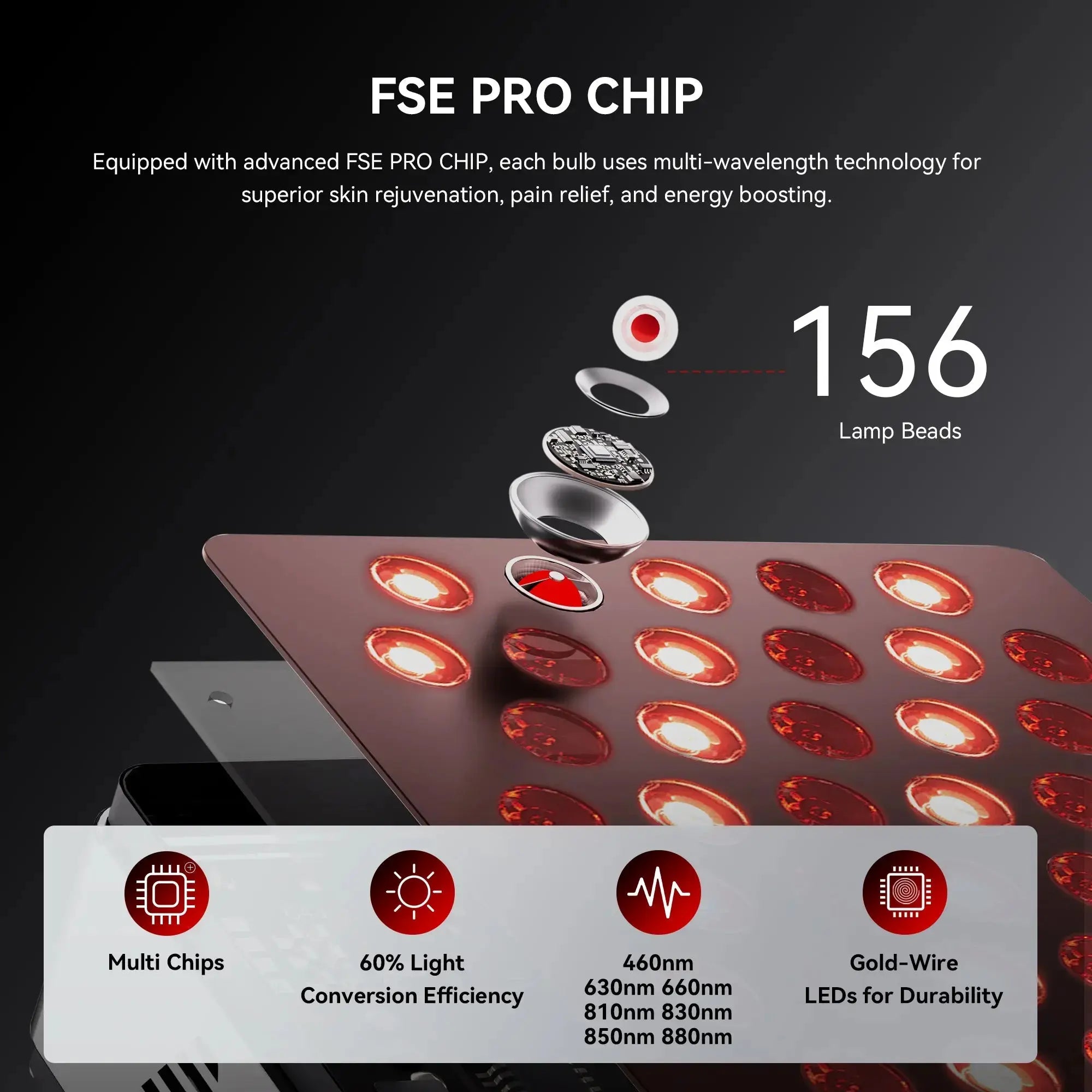 ELITE156#size_elite 156