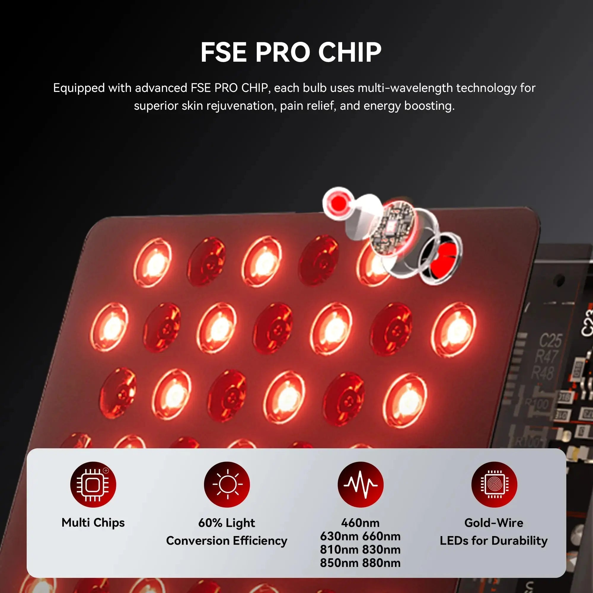 ELITE78#size_elite 78