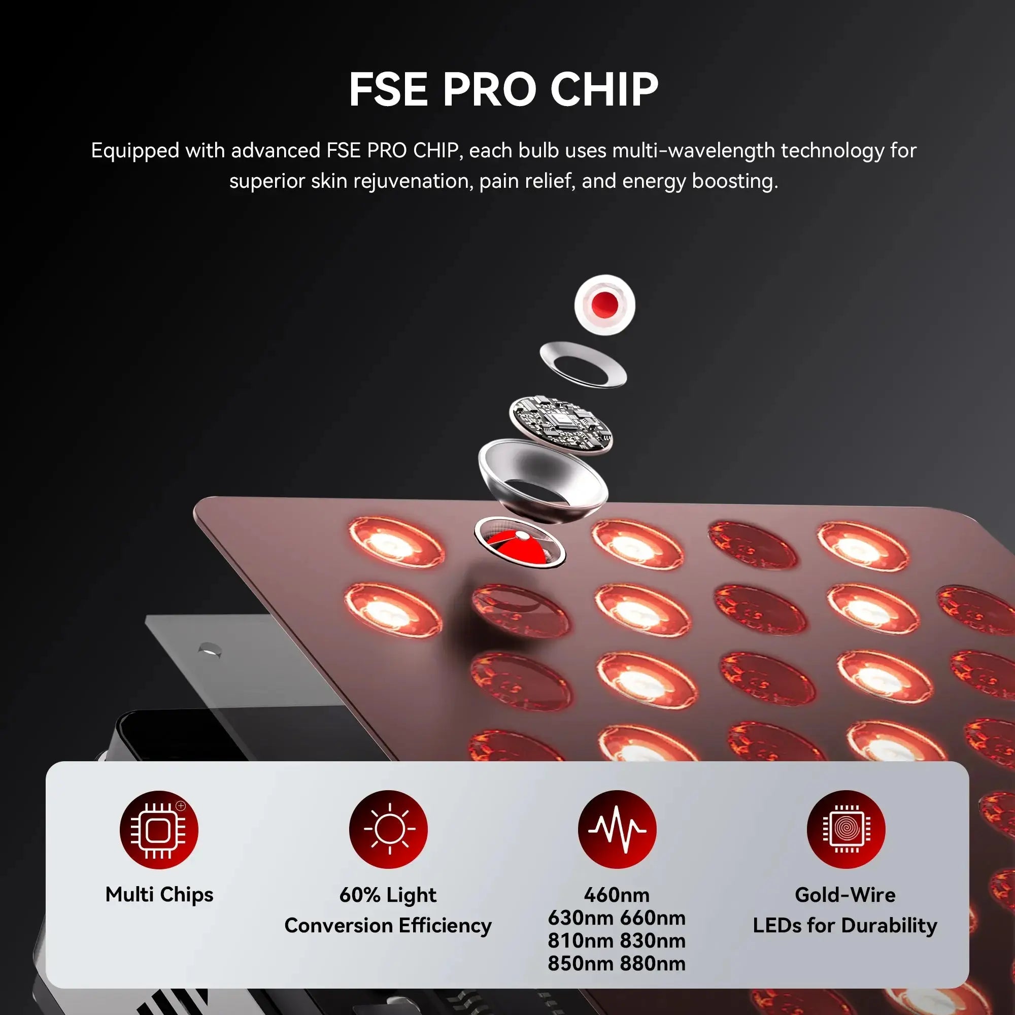 ELITE60#size_elite 60